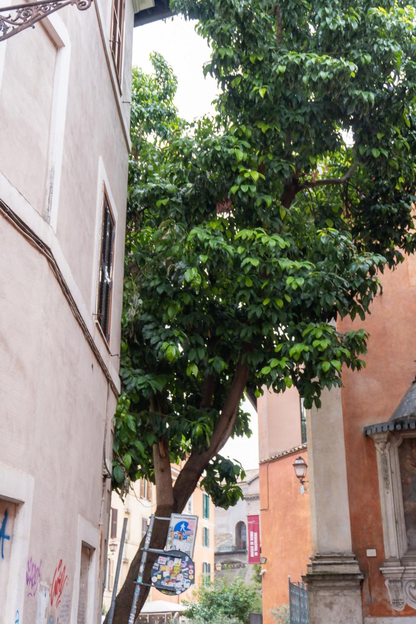 Appartamento Beyond The Tiber Trastevere *