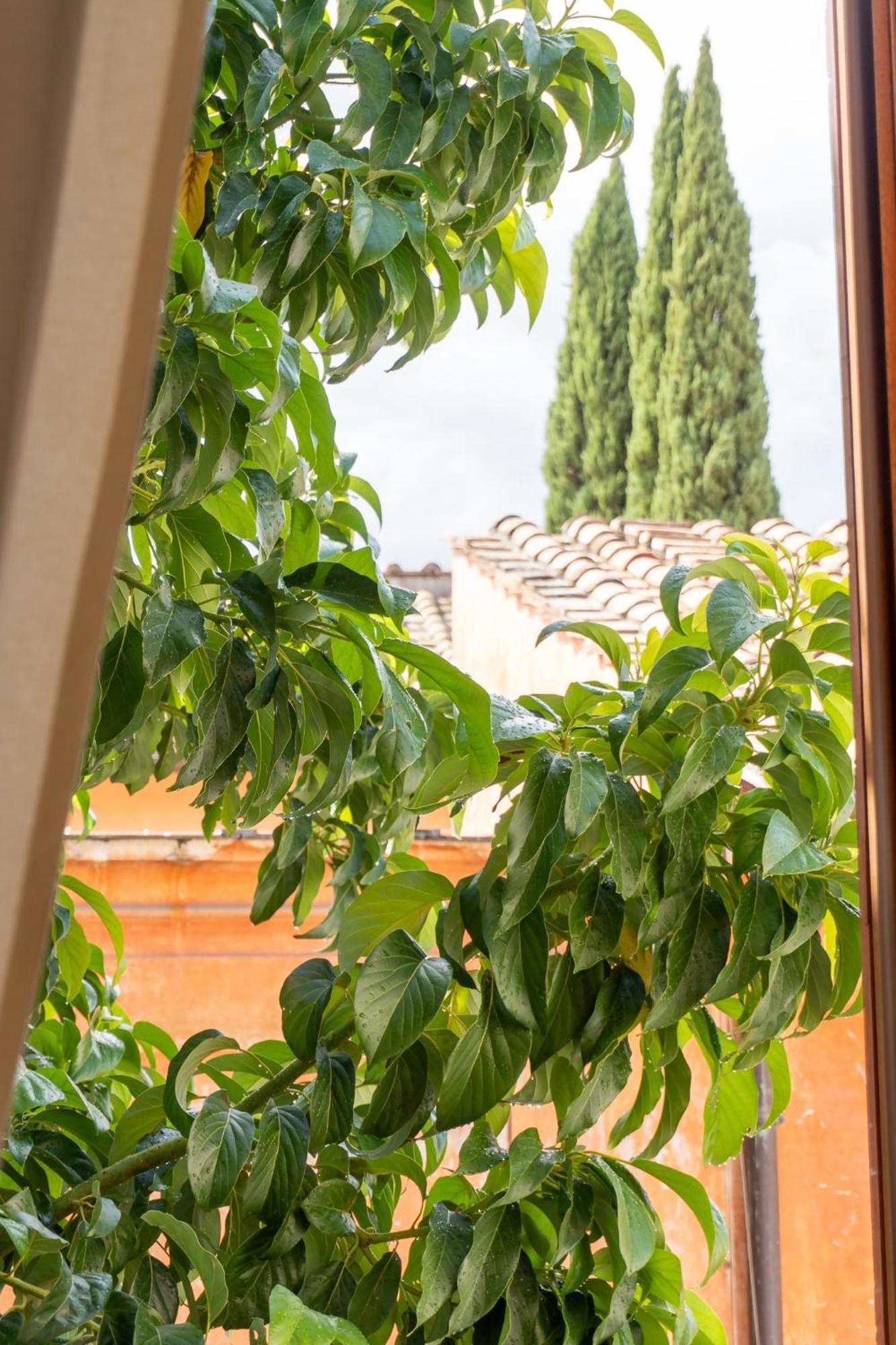 Beyond The Tiber Trastevere Appartamento Roma